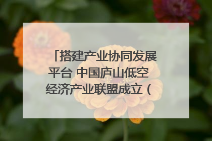 搭建产业协同发展平台 中国庐山低空经济产业联盟成立（组图｜视频）
