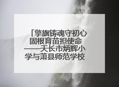 擎旗铸魂守初心 固根育苗担使命——天长市炳辉小学与萧县师范学校附属小学结对共建活动纪实