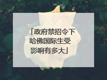 政府禁招令下 哈佛国际生受影响有多大