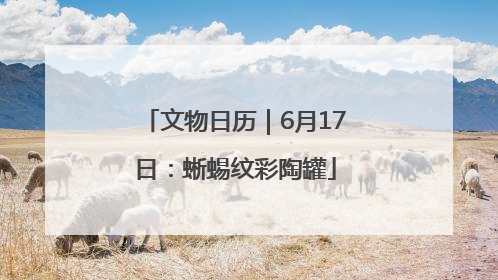 文物日历｜6月17日：蜥蜴纹彩陶罐