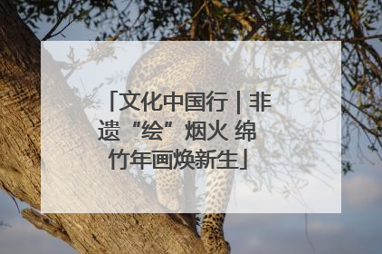 文化中国行｜非遗“绘”烟火 绵竹年画焕新生