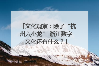 文化观察：除了“杭州六小龙” 浙江数字文化还有什么？
