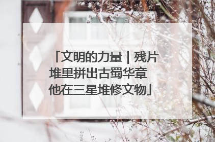 文明的力量｜残片堆里拼出古蜀华章 他在三星堆修文物