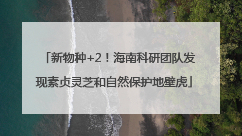 新物种+2！海南科研团队发现素贞灵芝和自然保护地壁虎
