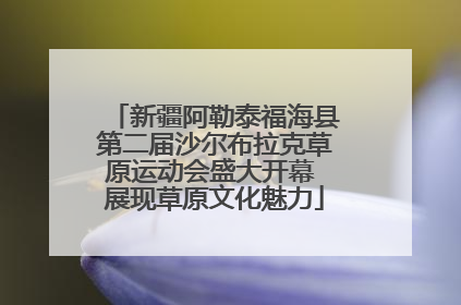 新疆阿勒泰福海县第二届沙尔布拉克草原运动会盛大开幕 展现草原文化魅力