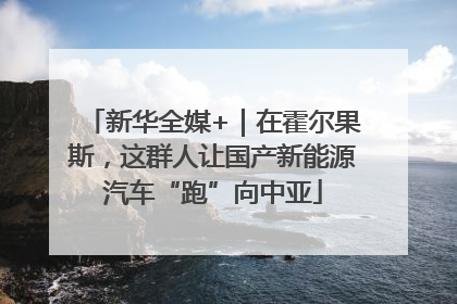新华全媒+｜在霍尔果斯，这群人让国产新能源汽车“跑”向中亚