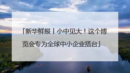 新华鲜报丨小中见大！这个博览会专为全球中小企业搭台