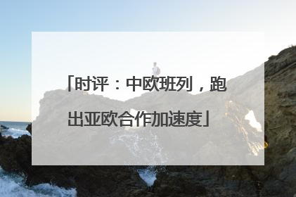 时评：中欧班列，跑出亚欧合作加速度