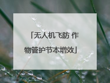 无人机飞防 作物管护节本增效