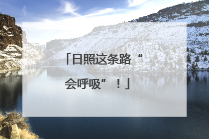 日照这条路“会呼吸”！