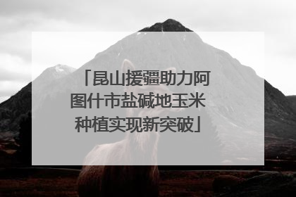 昆山援疆助力阿图什市盐碱地玉米种植实现新突破