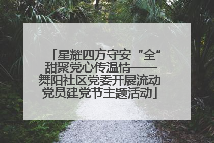 星耀四方守安“全” 甜聚党心传温情——舞阳社区党委开展流动党员建党节主题活动