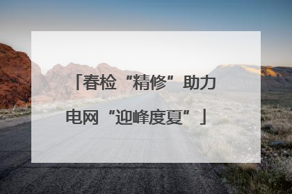 春检“精修”助力电网“迎峰度夏”