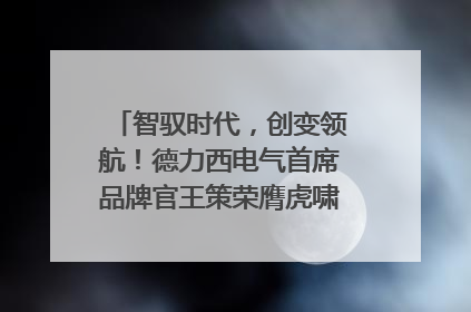 智驭时代，创变领航！德力西电气首席品牌官王策荣膺虎啸奖年度品牌人物