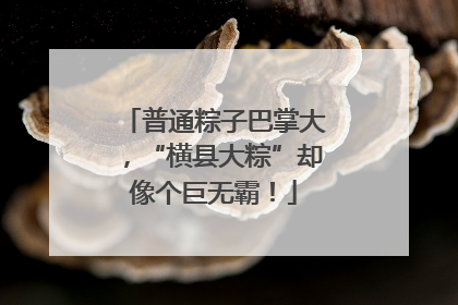 普通粽子巴掌大，“横县大粽”却像个巨无霸！