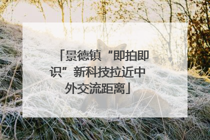 景德镇“即拍即识”新科技拉近中外交流距离
