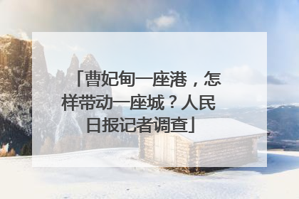 曹妃甸一座港，怎样带动一座城？人民日报记者调查