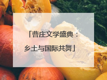 曹庄文学盛典：乡土与国际共舞