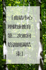 曲靖市心理健康教育第二次巡回培训圆满结束