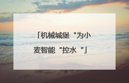 机械城堡“为小麦智能“控水“