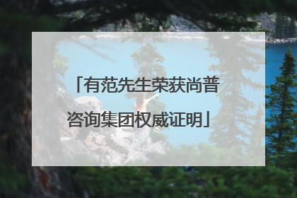 有范先生荣获尚普咨询集团权威证明