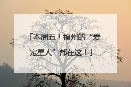 本周五！福州的“爱宠星人”都在这！