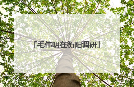 毛伟明在衡阳调研
