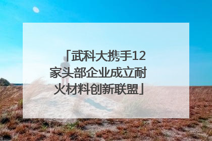 武科大携手12家头部企业成立耐火材料创新联盟
