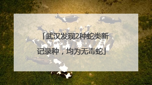 武汉发现2种蛇类新记录种，均为无毒蛇