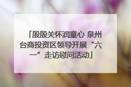 殷殷关怀润童心 泉州台商投资区领导开展“六一”走访慰问活动