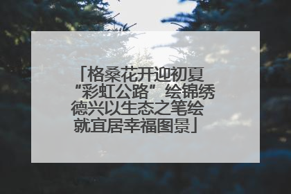 格桑花开迎初夏 “彩虹公路”绘锦绣 德兴以生态之笔绘就宜居幸福图景