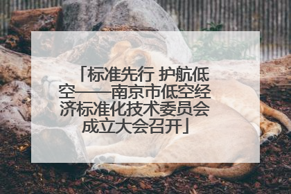 标准先行 护航低空——南京市低空经济标准化技术委员会成立大会召开