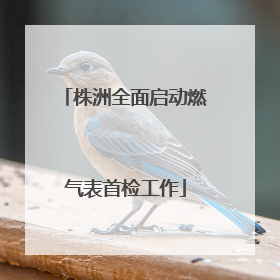 株洲全面启动燃气表首检工作