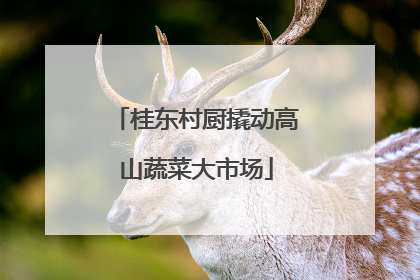 桂东村厨撬动高山蔬菜大市场