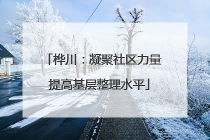 桦川：凝聚社区力量 提高基层整理水平