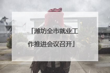潍坊全市就业工作推进会议召开