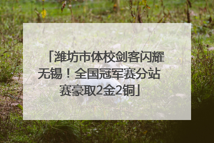 潍坊市体校剑客闪耀无锡！全国冠军赛分站赛豪取2金2铜