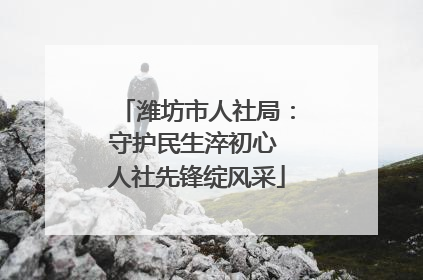潍坊市人社局：守护民生淬初心 人社先锋绽风采