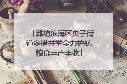 潍坊滨海区央子街道多措并举全力护航粮食丰产丰收