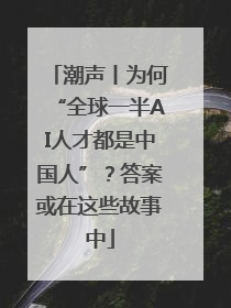 潮声丨为何“全球一半AI人才都是中国人”？答案或在这些故事中