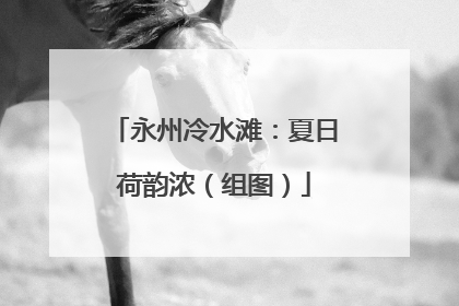 永州冷水滩：夏日荷韵浓（组图）
