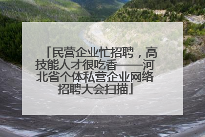 民营企业忙招聘，高技能人才很吃香——河北省个体私营企业网络招聘大会扫描