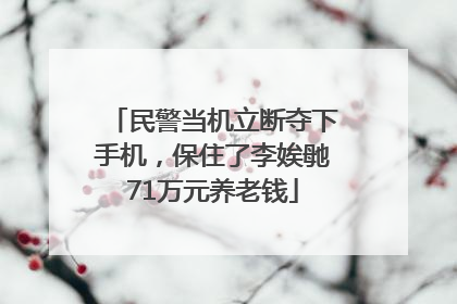民警当机立断夺下手机，保住了李娭毑71万元养老钱