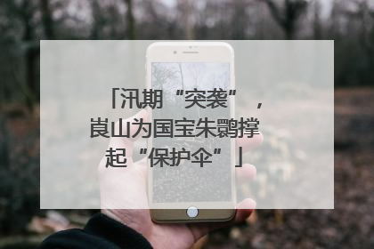 汛期“突袭”，崀山为国宝朱鹮撑起“保护伞”