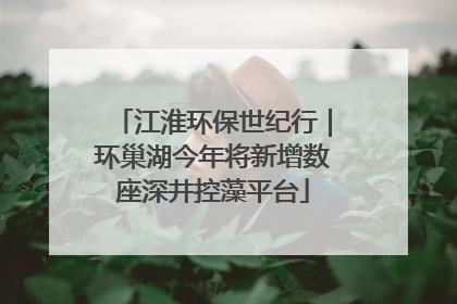 江淮环保世纪行｜环巢湖今年将新增数座深井控藻平台