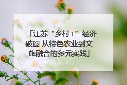 江苏“乡村+”经济破圈 从特色农业到文旅融合的多元实践