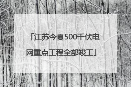 江苏今夏500千伏电网重点工程全部竣工