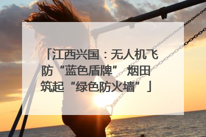 江西兴国：无人机飞防“蓝色盾牌” 烟田筑起“绿色防火墙”