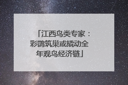 江西鸟类专家：彩鹮筑巢或撬动全年观鸟经济链