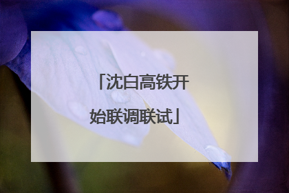 沈白高铁开始联调联试